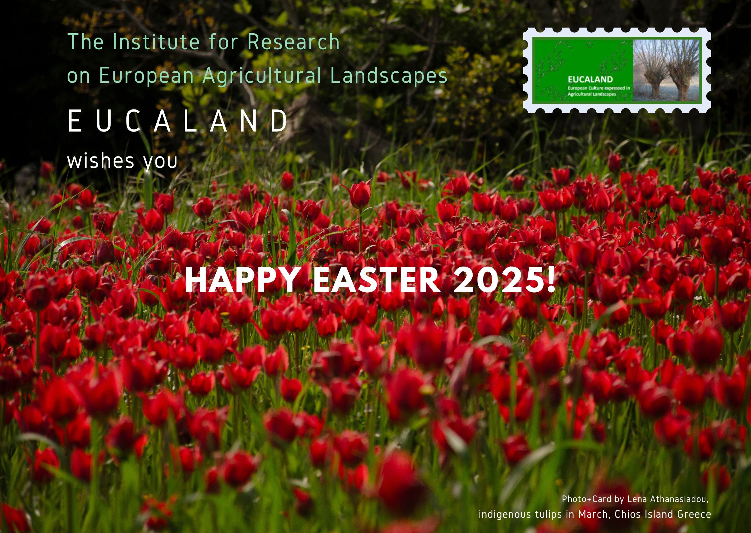 Eucaland EASTER Card 2025